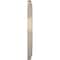 Ekena Millwork Traditional PVC Medallion (Canopies up to 9 1/2"), 16"OD x 3 1/2"ID x 1 3/8"P, Metallic Mist CMP16TREPE - alternate 2